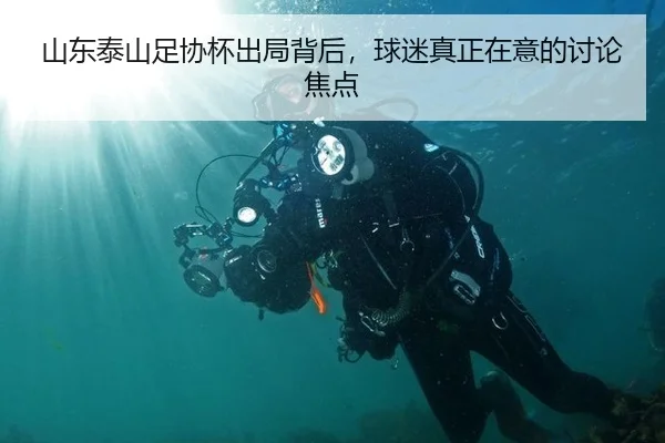 山东泰山足协杯出局背后，球迷真正在意的讨论焦点